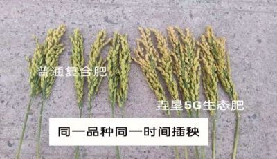 內(nèi)蒙古垚墾生態(tài)農(nóng)業(yè)科技有限公司