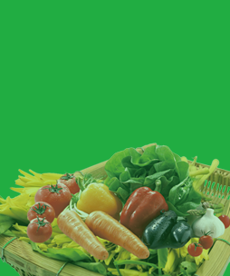 廣州市邁騰生態(tài)食材有限公司