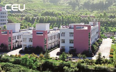 溫州市中網計算機技術服務有限公司