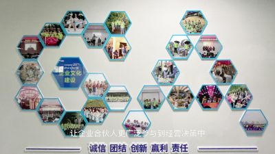 加加林控股有限公司