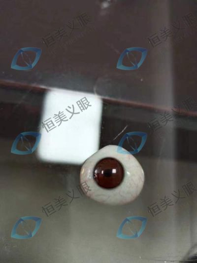 合肥市恒美義眼康復(fù)輔助器材有限公司