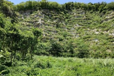 寧夏清凡環?？萍加邢薰? width=