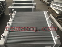 常州銳思邁散熱器有限公司