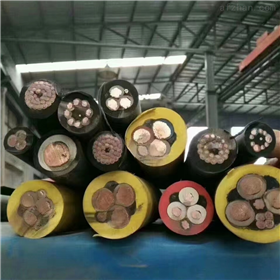 天津電纜總廠橡塑電纜廠