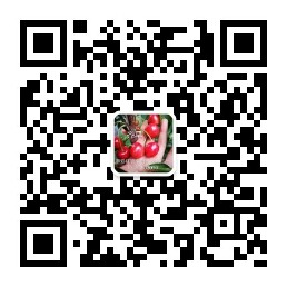 泰安紅旗櫻桃專業合作社