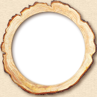 寧波寧飛木制品廠