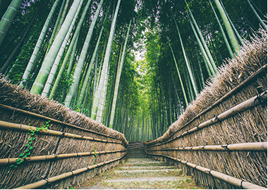 丹陽嘉興花卉種植有限公司