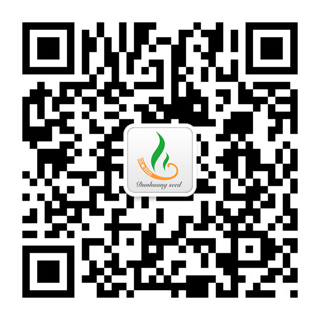 甘肅省敦煌種業(yè)集團(tuán)股份有限公司