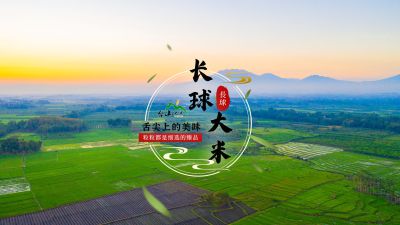 臺山市長球儲運有限公司