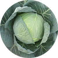 鎮江鑫源達園藝科技有限公司