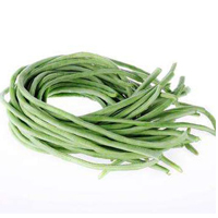 南京萬邦種業有限公司