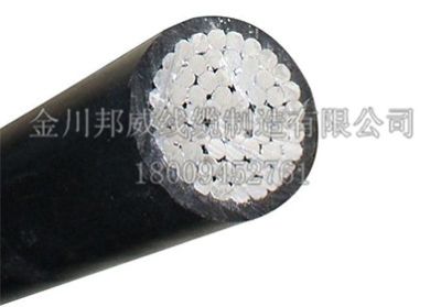 金昌市金川邦威線纜制造有限公司