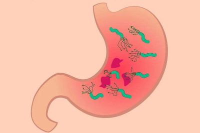 興樂富興樂富股份有限公司