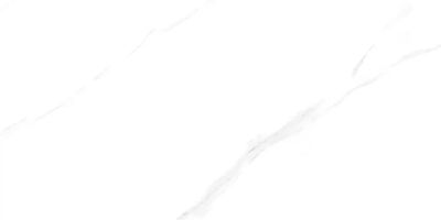 廣東佛山玉瑤陶瓷有限公司