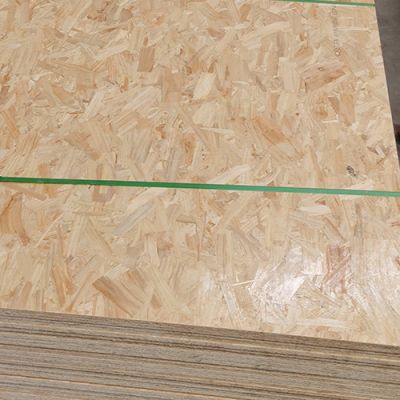 費縣鑫盛源板材廠