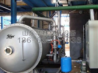 山東華林臭氧設備有限公司