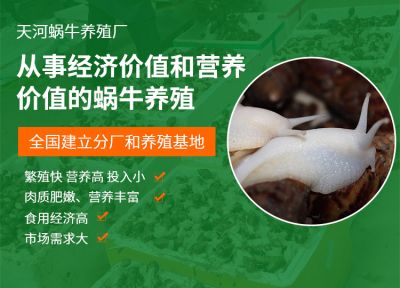 新鄉縣七里營天河蝸牛養殖廠