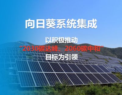 浙江向日葵系統集成有限公司