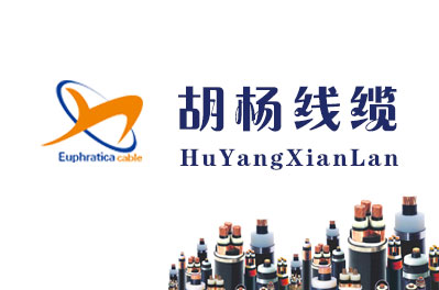 新疆百疆圖網絡服務有限公司