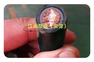 江海泵業(天津)有限公司