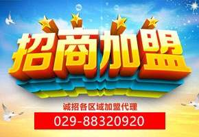 西安三佳藥業(yè)有限責任公司