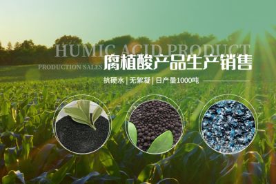 烏海市豐泰商貿有限責任公司