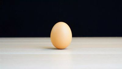 陜西秦露農(nóng)業(yè)科技有限公司