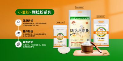 內蒙古五原縣三寶面業有限責任公司