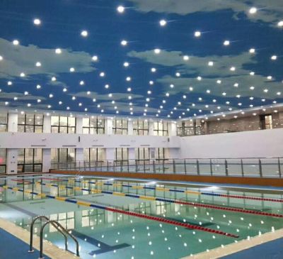 河南雅麗軟膜天花有限公司