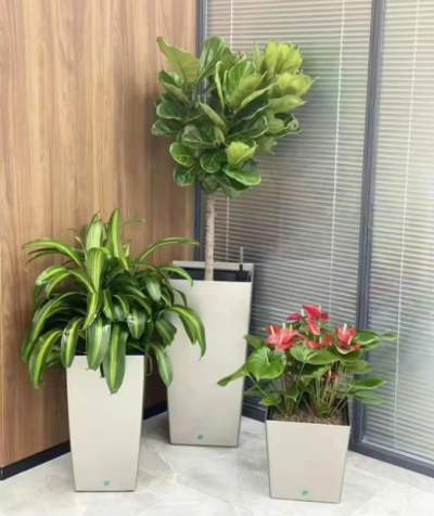 宜興暗香園藝有限公司