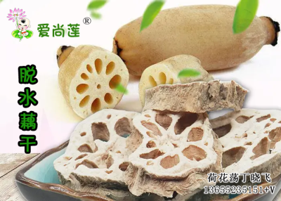 金湖愛尚蓮業有限公司