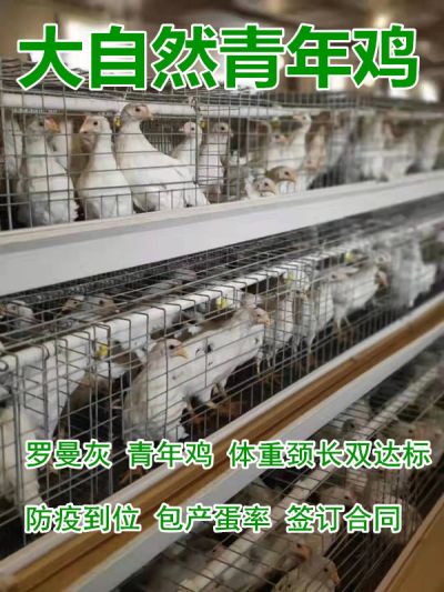 鶴壁市大自然禽業