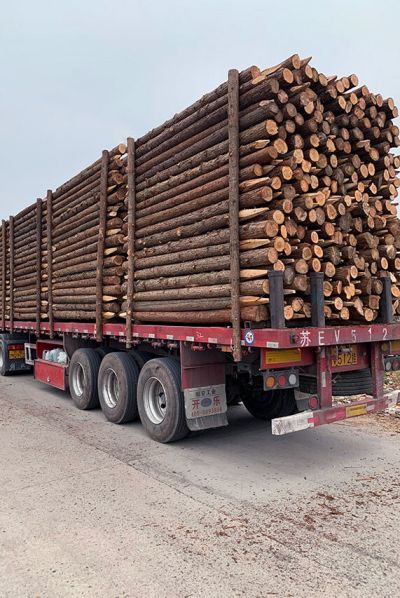 六安市葉集區百川木材加工廠