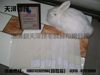 清河縣天河絨毛制品有限公司