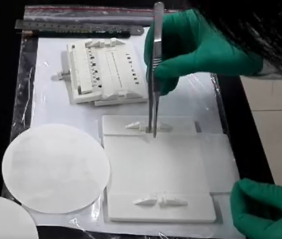 北京六一生物科技有限公司