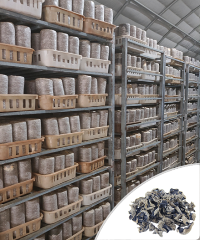  山東眾成菌業(yè)股份有限公司