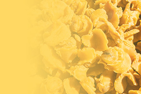 丹東日食食品有限公司