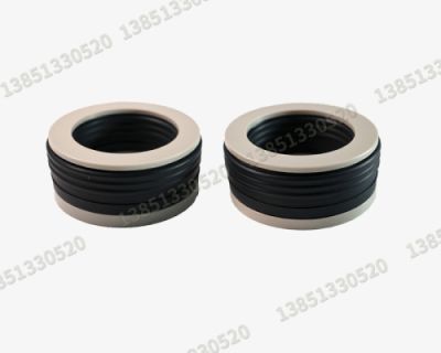 江蘇帝牌閥密封系統有限公司