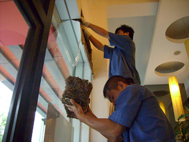 益倫白蟻害蟲防治公司主要從事工廠