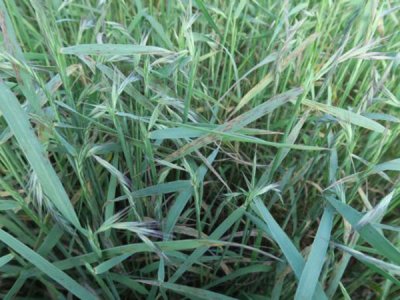 沭陽(yáng)縣三點(diǎn)水商貿(mào)有限公司