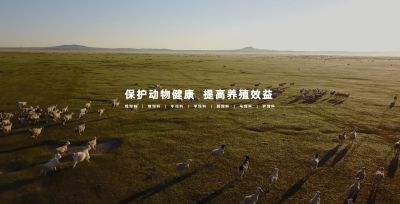 海城市福瑞特飼料有限公司