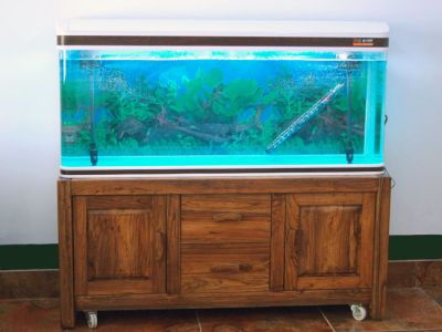 山東淄博睿智老榆木家具有限公司