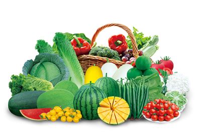 河南豫藝種業科技發展有限公司