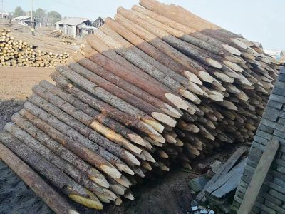 宣城市楊文木業有限責任公司