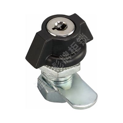 溫州彪牌柜鎖有限公司