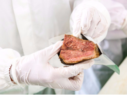 河北鼎晟龍食品有限公司