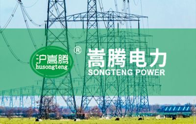 上海嵩騰電力設備有限公司