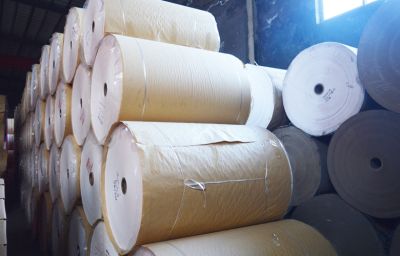 濰坊友誼紙業股份有限公司