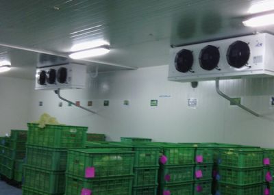 至晟科技(山東)有限公司