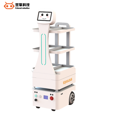 雙擎科技（杭州）有限公司